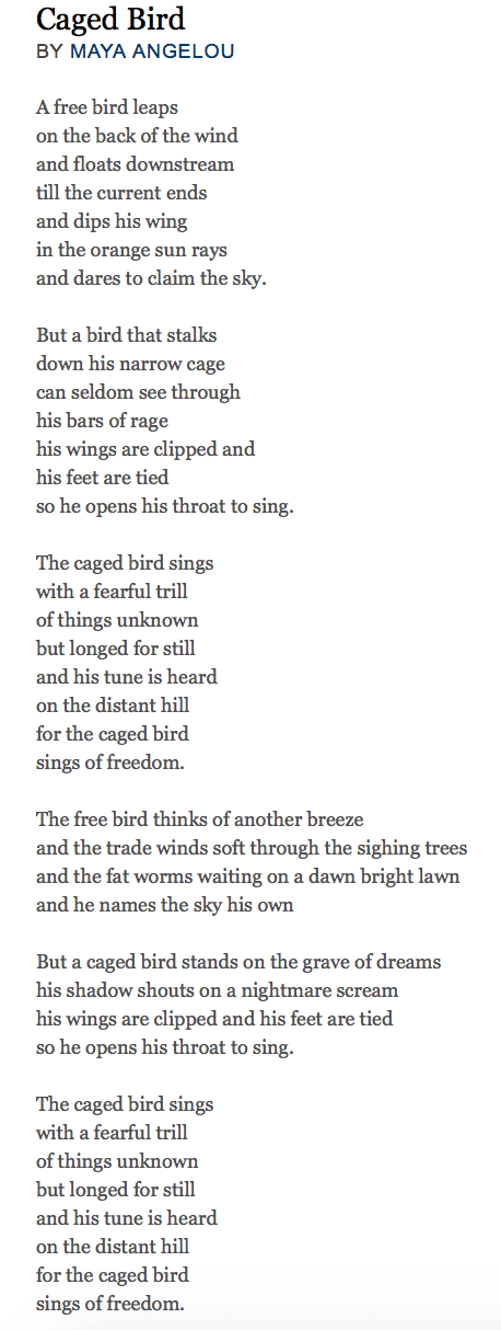 Screen Shot 2016-03-06 at 10.52.26 PM